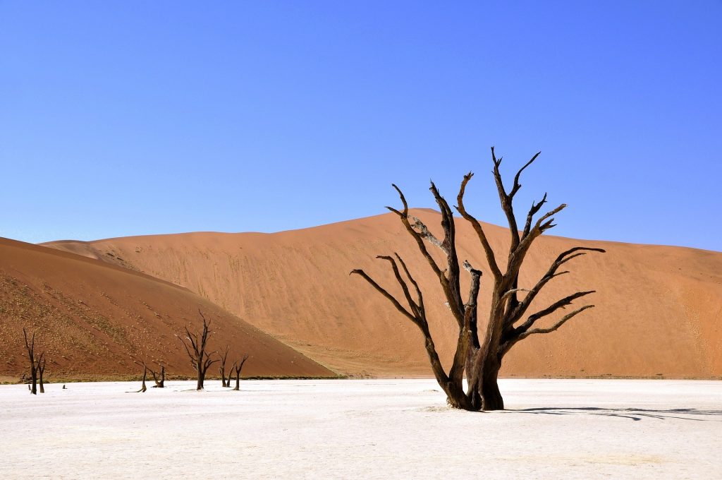 namibia topo
