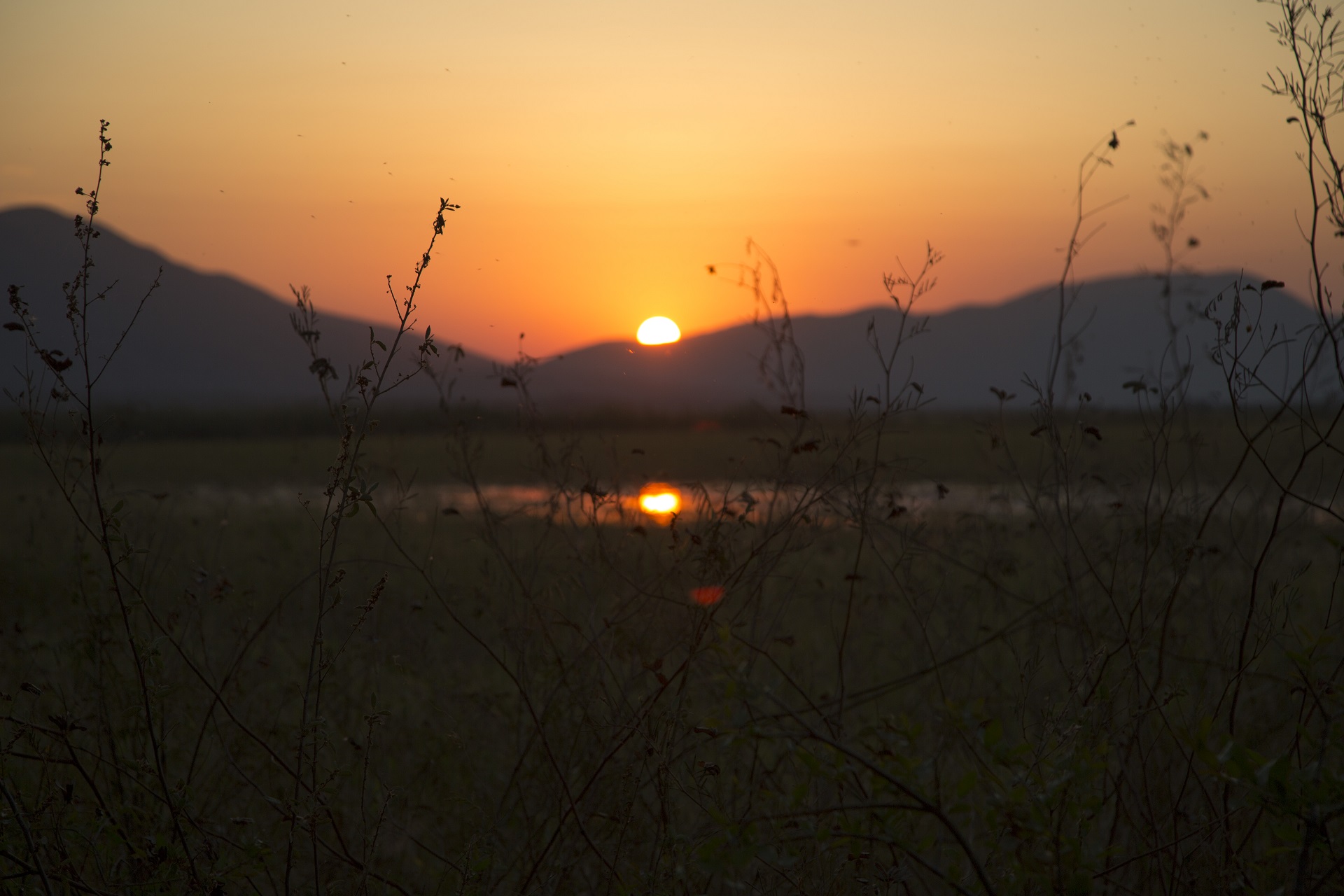serra do amolar pantanal topo