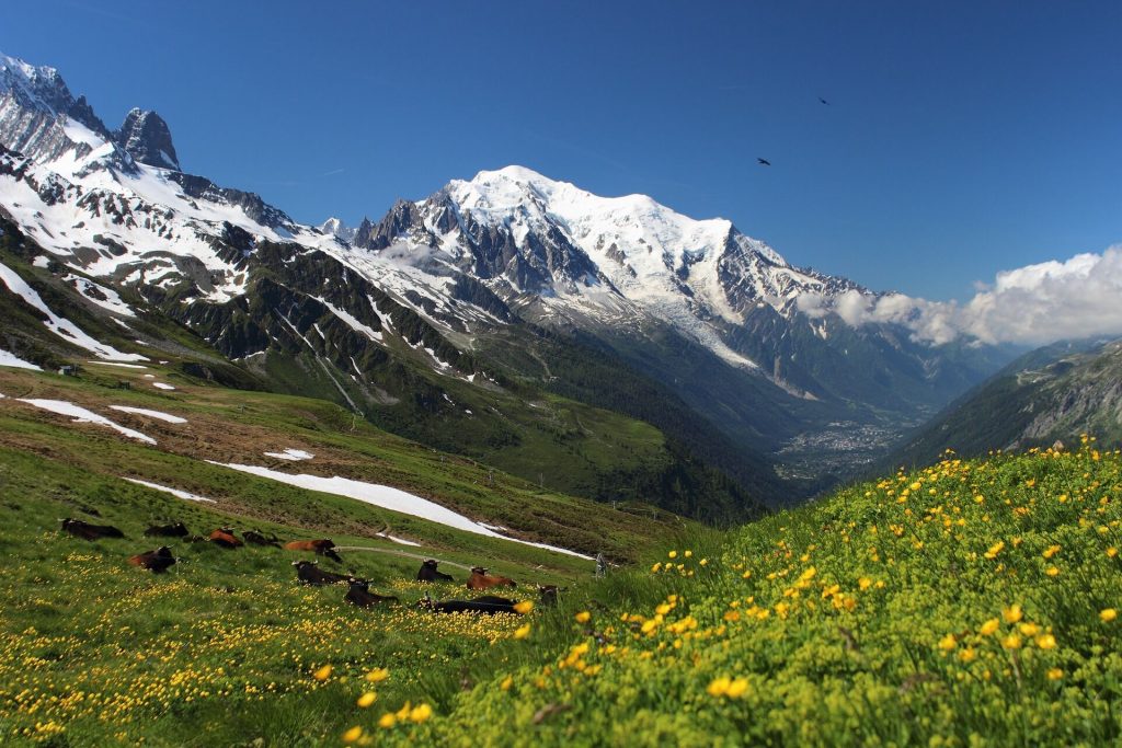 mont blanc frança