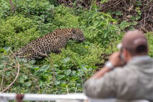 cruzeiro pantanal