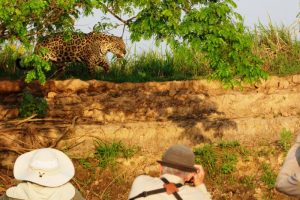 cruzeiro pantanal