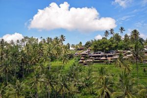 Ubud-Bali-Indonesia-galeria