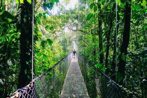 Arenal-Bridge-Costa-Rica-galeria80