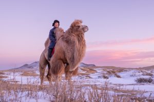 Elsen,Tasarhai,,,Hugnu,Haan,Uul,mongolia,11,January,,2023,:a