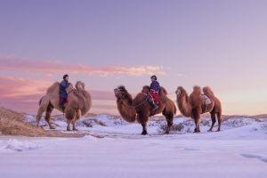 Elsen,Tasarhai,,,Hugnu,Haan,Uul,mongolia,11,January,,2023,:a