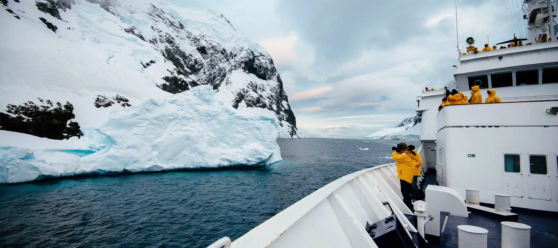 quark expeditions - antartica