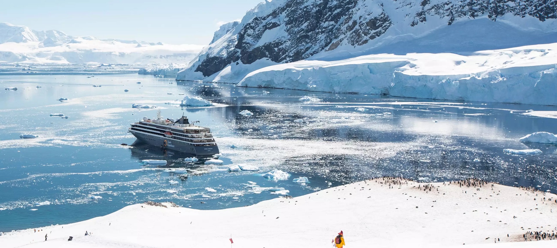 quark expeditions - antartica