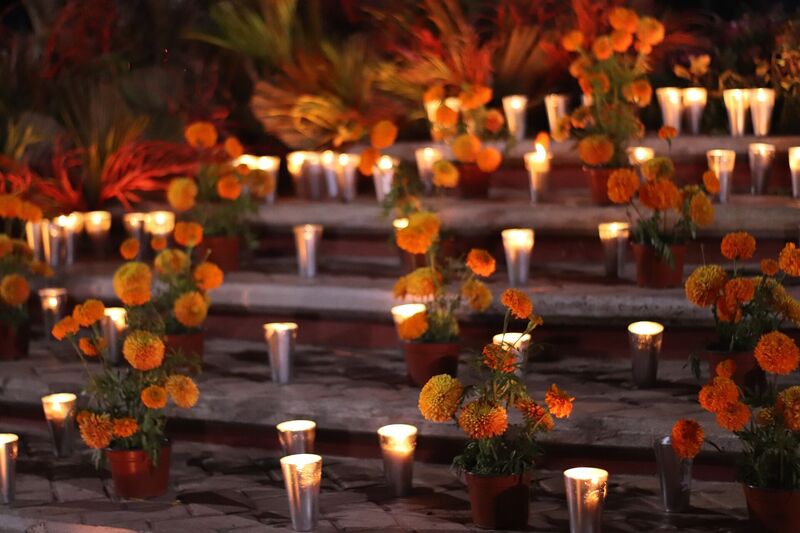 Flores no Dia dos Mortos no México