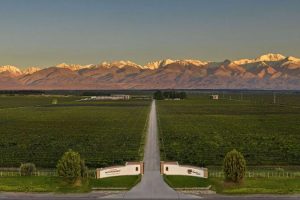 domaine-bousquet-mendoza-galeria-80