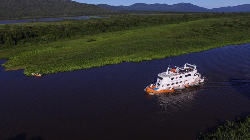 Cruzeiro em busca da onça-pintada no Pantanal