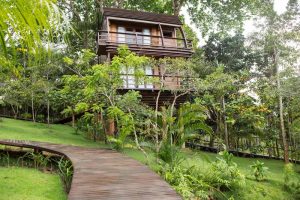 Linda paisagem verde que você pode aproveitar no Réveillon no Mirante do Gavião Lodge