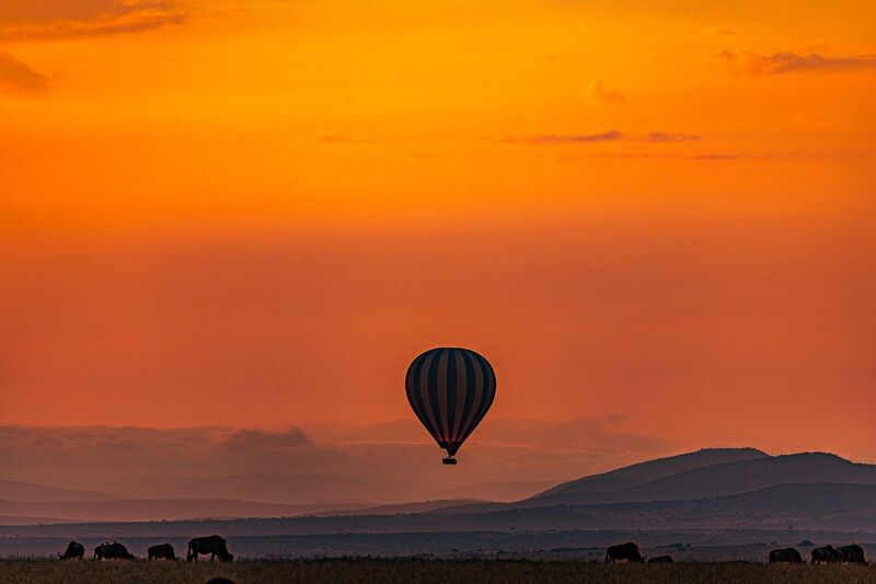 Passeio de balão: Masai Mara, Quênia
