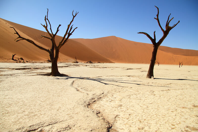 Deserto do Kalahari, Namíbia, África