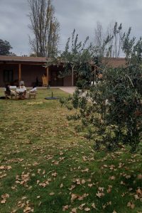 Olivícola Laur em Mendoza