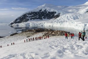 Albatros Expeditions