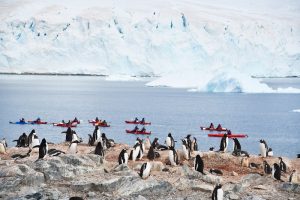 Albatros Expeditions