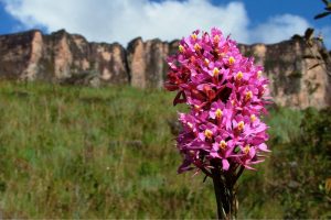 Monte Roraima