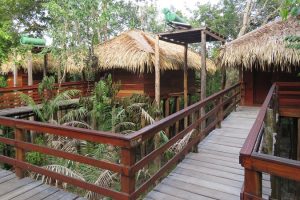 juma amazon lodge