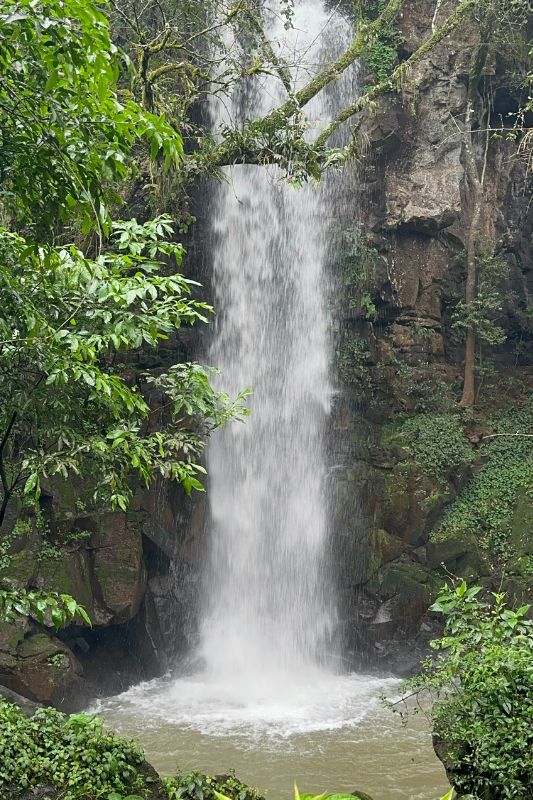 Do lado argentino das Cataratas: conheça o Pristine Iguazú Luxury Camp -  Adventure Club