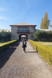 Visita Vinícola Vistalba em Mendoza