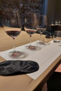 Visita Vinícola Vistalba em Mendoza