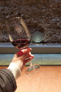 Degustação de Vinhos às Cegas em Mendoza