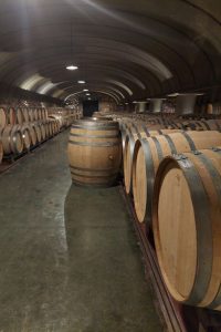 Visita Vinícola Vistalba em Mendoza