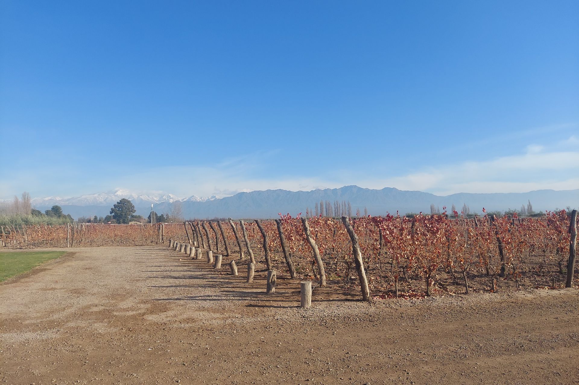 Duas experiências deliciosas em Mendoza