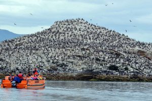 Skorpios navegação patagonia chilena