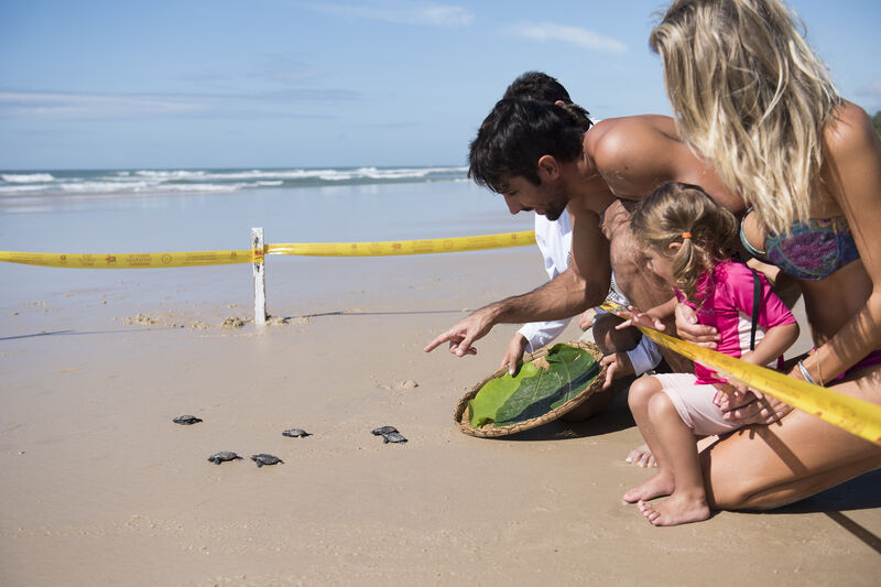 Txaitarugas, um projeto apoiado pelo Txai Resort