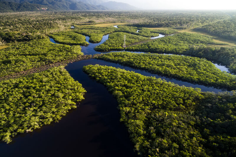 Amazônia, a maior floresta tropical do mundo