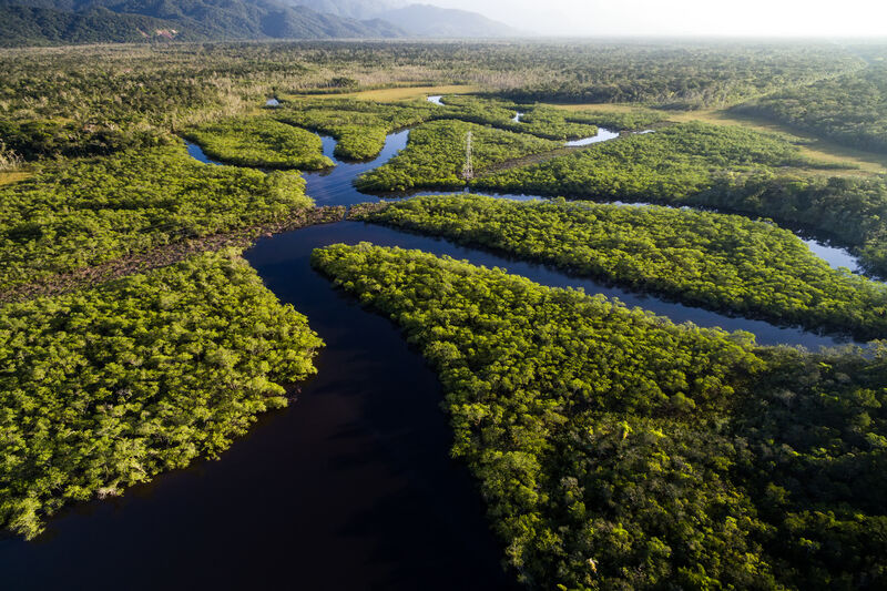 Floresta Amazônica, a maior floresta tropical do planeta