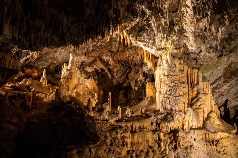 Caverna de Postojna na Eslovênia