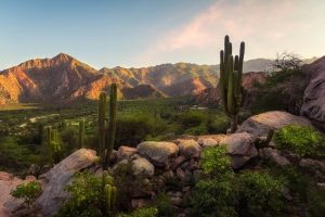 Cafayate-Argentina-galeria80