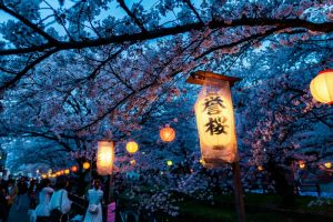 Cerejeiras-Japão-galeria80
