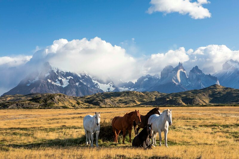 Parque Nacional Torres del Paine