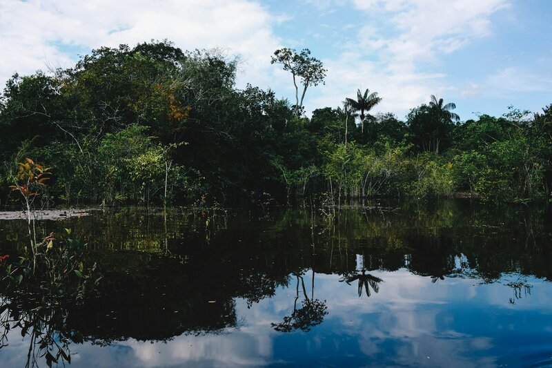 Réveillon 2024 na Amazônia Brasileira
