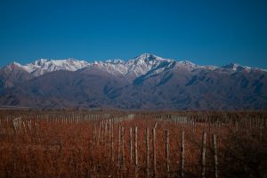Mendoza-Argentina-galeria80