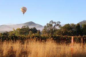Napa-Valey-EUA-galeria80