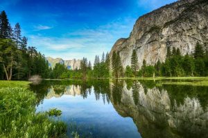 Parque-Nacional-Yosemite2-galeria80