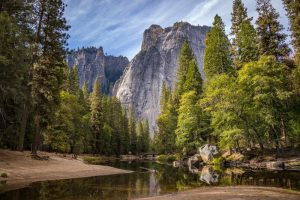 Sequoia-National-Park-EUA-galeria80