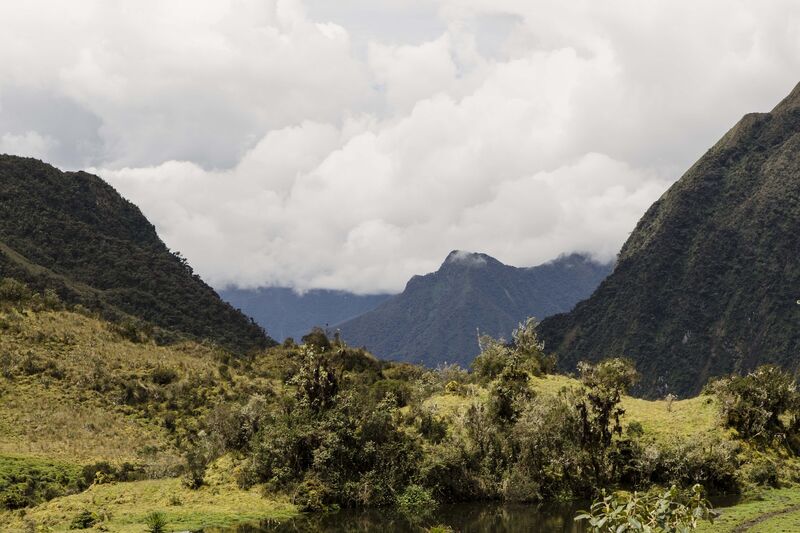 Amazônia Peruana
