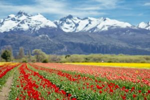 Trevelin-Chubut-Argentina-galeria80