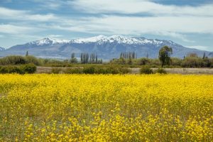 Trevelin-Chubut-Argentina2-galeria80