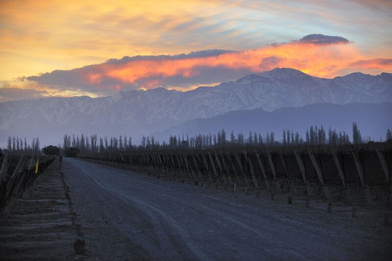 Mendoza, na Argentina