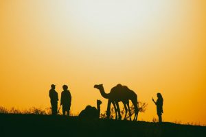 Pushkar-India-galeria80
