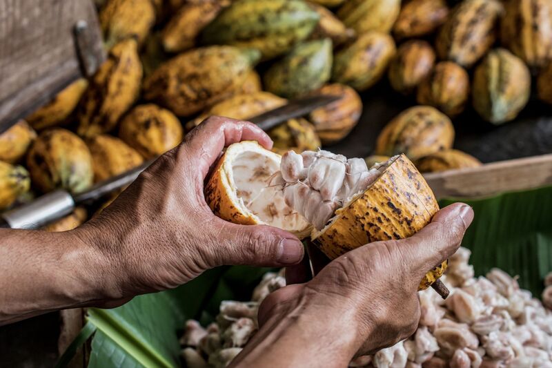 Destinos para amantes do chocolate