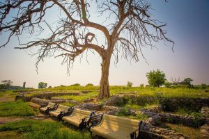 Taxila,,Pakistan,-,September,2021:,Taxila,Archeological,Site,,Remains,Of Taxila,,Pakistan,-,September,2021:,Taxila,Archeological,Site,,Remains,Of