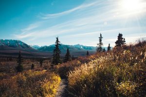 Denali-Alasca2-galeria80