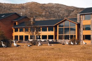 Hotel-Rio-Serrano-Patagonia-Chilena5-galeria80